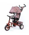  Baby Tilly Zoo-Trike T-342 Brown
